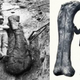 Illustration for article titled Paleontologists lying near giant dinosaur bones